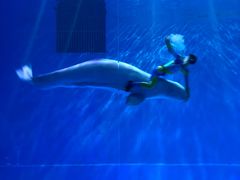 -芜湖新华联大白鲸海洋公园