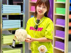 -HOWOW·D2Y(柏威年店)