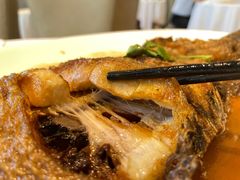 -双井轩(双井店)