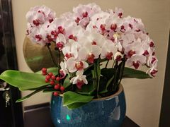 -广州永庆坊瞻云精选酒店