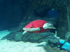 -常州海昌海洋探索馆