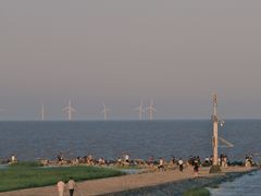 -南汇嘴观海公园