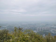 -杭州半山国家森林公园