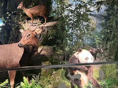 -四川大学博物馆