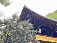 -紫阳古街