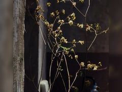 -作咖啡(养育巷店)
