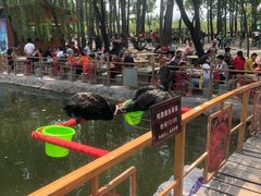 -东方巨龟苑景区