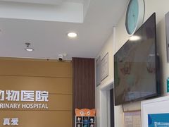 -美联众合动物医院·24h京西诊疗中心