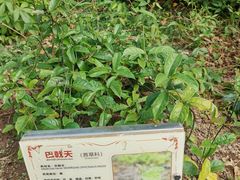 -广州神农草堂中医药博物馆