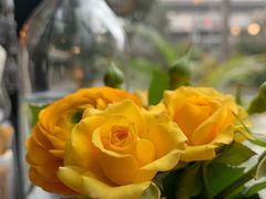 -火车头法国西餐厅