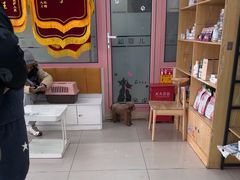 -全心全意连锁动物医院·微创中心·内科急重症·心脏专科(丰管路店)