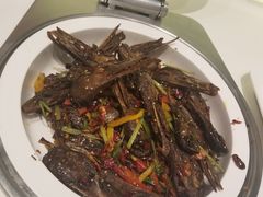 -堂会(白云店)