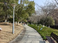 -桐乡植物园