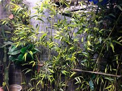 -锦尚阁烤鱼•天津菜(宣武门胡同店)