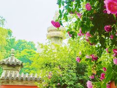 -北京石刻艺术博物馆(五塔寺)