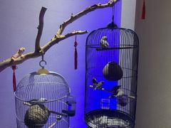 -悦融·京鲁菜·露台花园(安定门店)