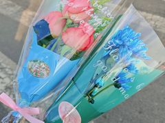 -长白岛森林公园