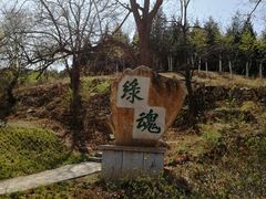 -北京西山国家森林公园