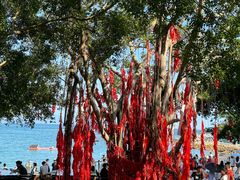 -本来不该有·鲜果咖啡(大梅沙店)