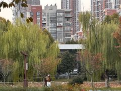 -堤角公园