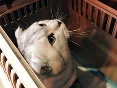 -MIKAKU(万达广场上海宝山店)