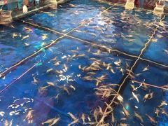 -钳真多钓虾馆·小龙虾海鲜烧烤(九六广场店)