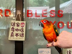 -莫多多餐厅