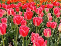 -玄武湖景区-情侣园游乐场