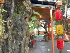 -陶缘一号·四季缘·老字号顺德菜·户外婚礼家宴(西滘店)