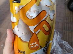 -白色日记·手作酸奶(麦凯乐店)