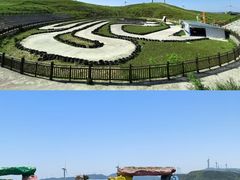 -龙里油画大草原旅游区