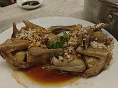 -百利鸽王(紫薇路店)