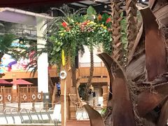 -南宫温泉水世界