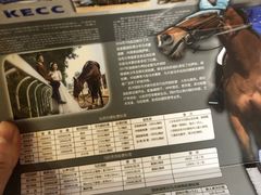 -大连凯洋马术俱乐部有限公司