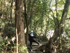 -罗浮山-南楼寺