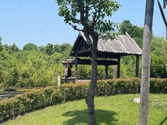 -上海野生动物园