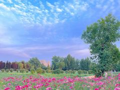 -汉长安城未央宫国家考古遗址公园