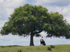 -塞罕坝国家级自然保护区