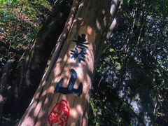 -神农架景区