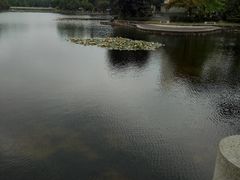 -广西大学(大学东路校区)