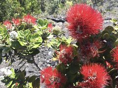 -夏威夷火山国家公园
