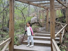 -大岭沟猕猴桃谷风景区