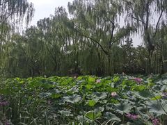 -满记甜品(王府井北京市百货大楼店)