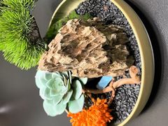 -云客来·花园餐厅(洛社店)