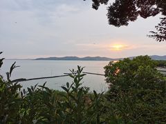 -上海市保健医疗中心