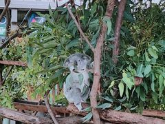 -可伦宾野生动物保护区