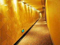 -上海浦东丽思卡尔顿酒店