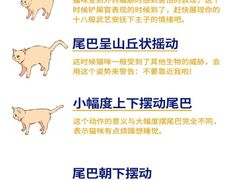 -lincat·猫舍(广州店)
