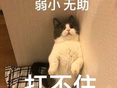 -豫楚源美猴王·面(武展店)