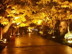 -横店影视城梦幻谷园区